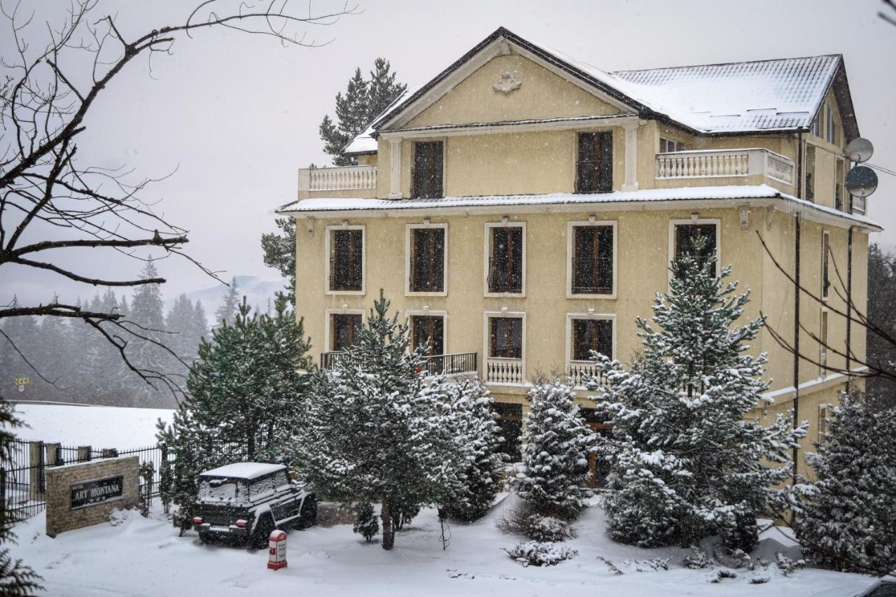 Hotel Art Montana Predeal Exterior foto